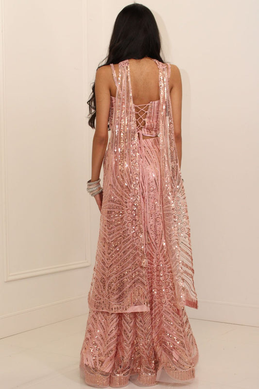Baby Pink Embroidered Fishcut Lehenga